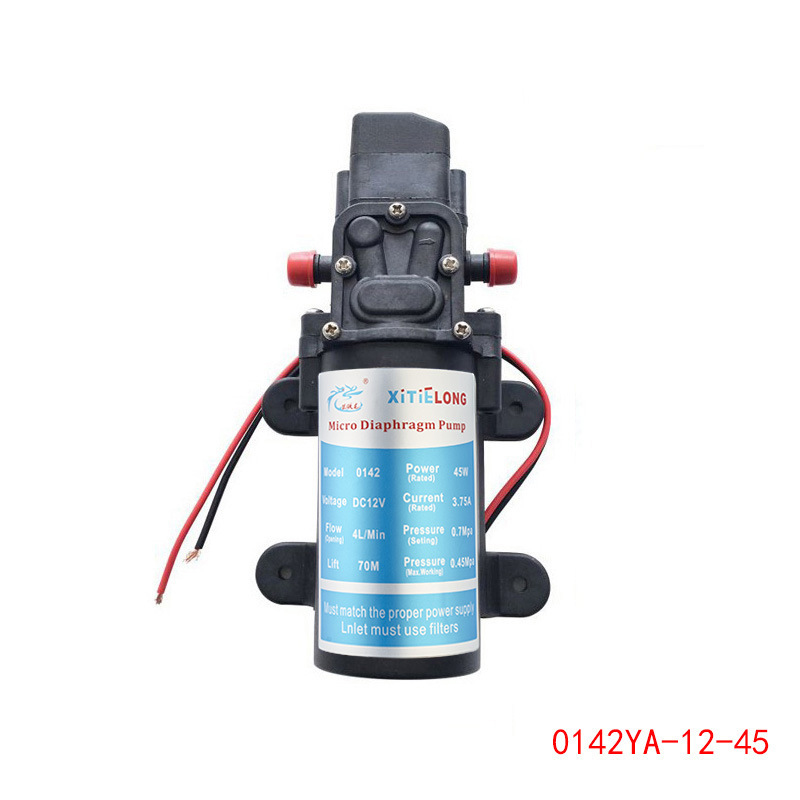 45W Zelfaanzuigende Spuitpomp  - Mini Peristaltic Pump 12V recensie en prijs
