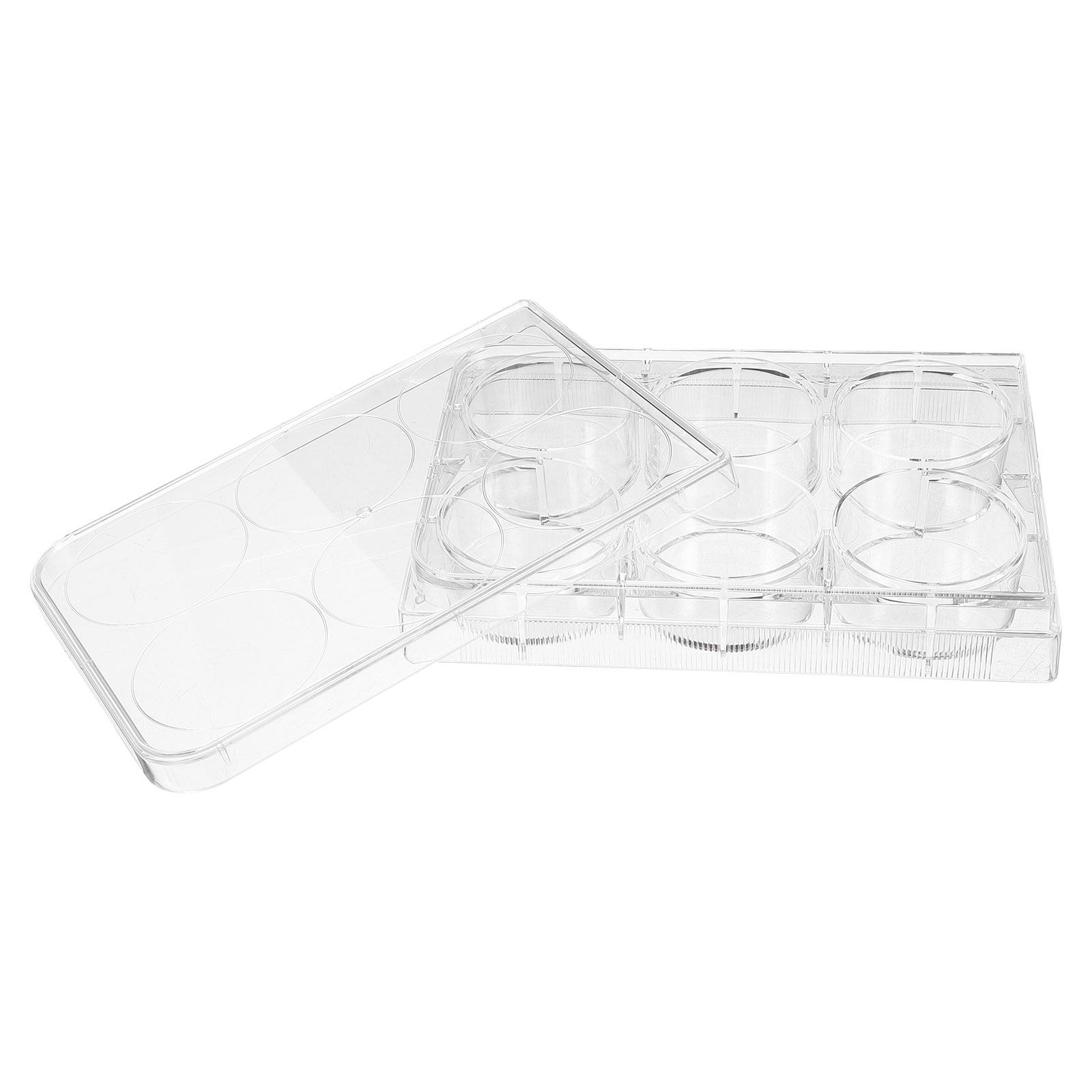 Weefselkweekplaat, duurzaam en - Lab Equipment recensie en prijs