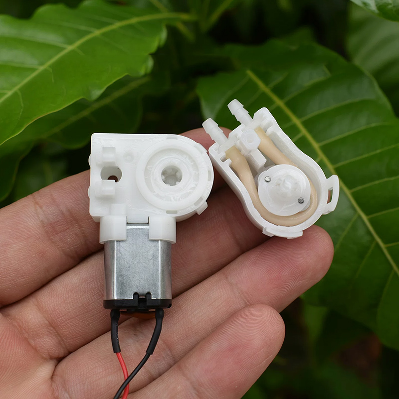 CJLP19-CA12B DC 12V Kleine doo - Mini Peristaltic Pump 12V recensie en prijs